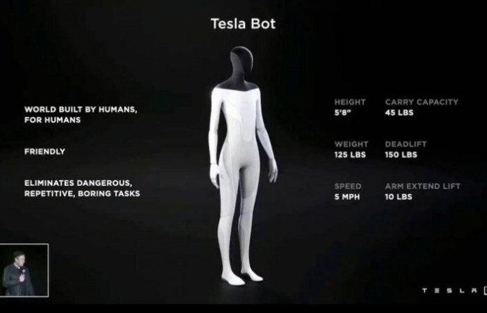     Tesla Bot
