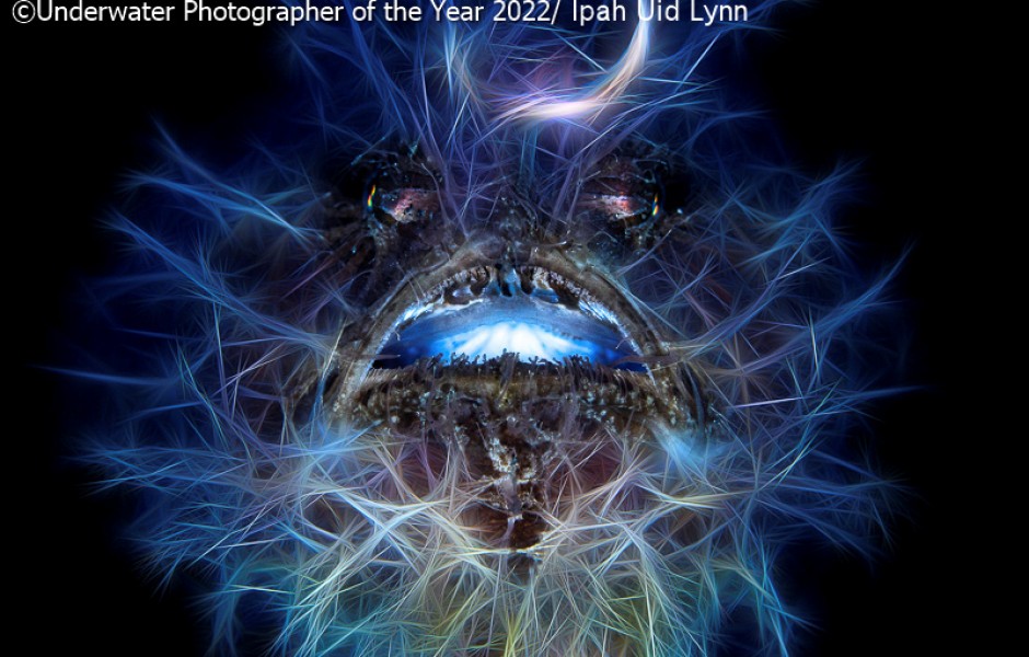   Underwater Photographer of the Year 2022