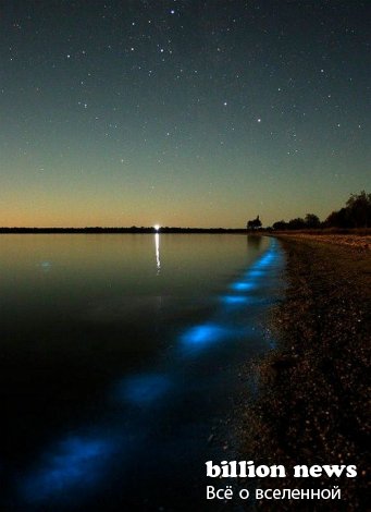 Самое интересное неоновое озеро (5 фото)