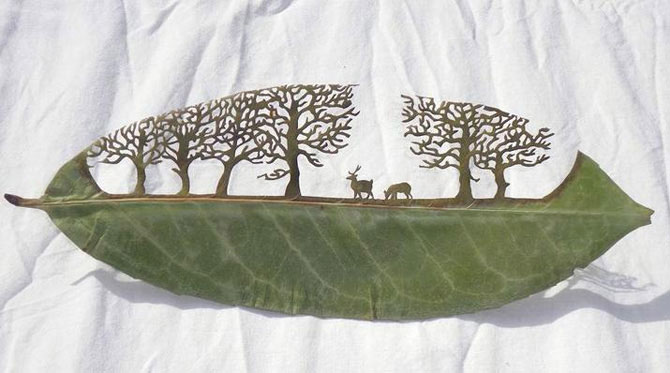   . Leaf Art      (Lorenzo Duran) (21 )