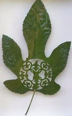   . Leaf Art      (Lorenzo Duran) (21 )