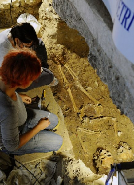 Обнаружены останки Моны Лизы (11 фото)