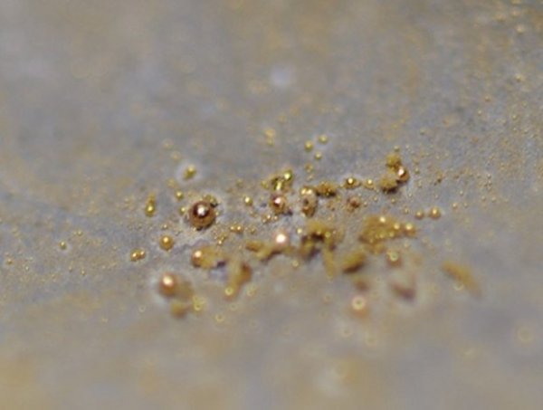 Бактерия, которая производит чистое золото