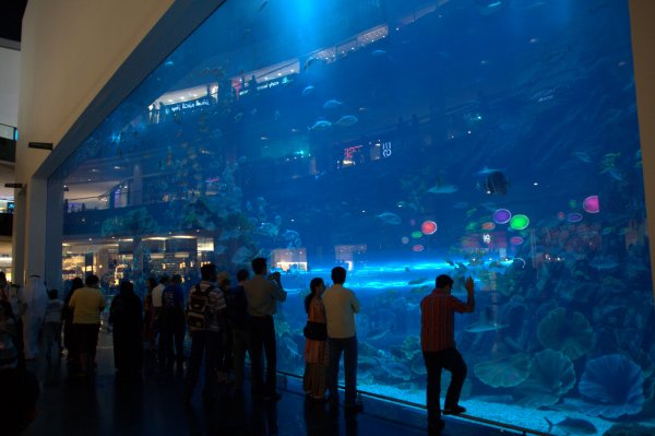 Самый большой в мире крытый аквариум (19 фото)