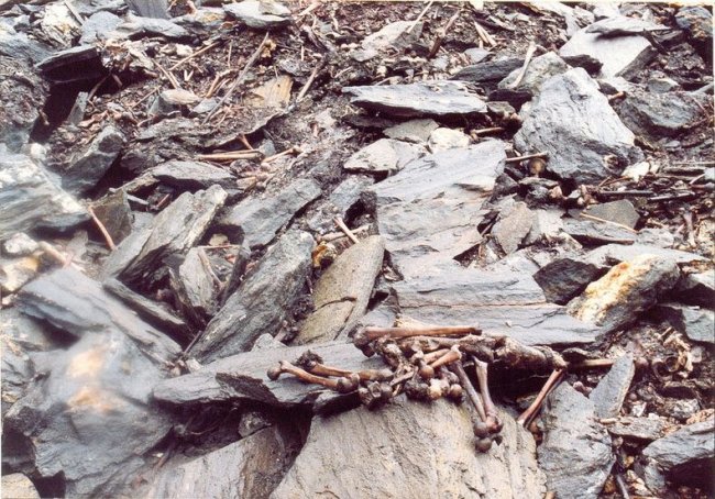 В Индии есть озеро, полное скелетов (4 фото)