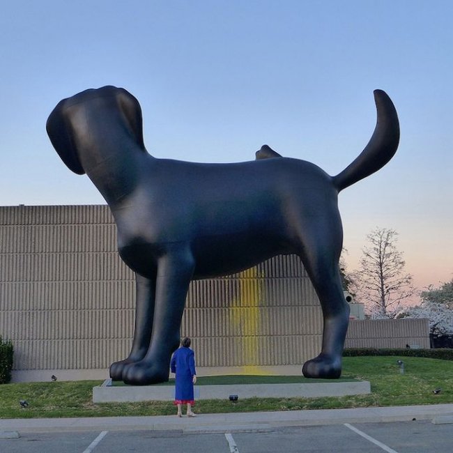 Гигантская скульптура лабрадора установлена в США (5 фото)