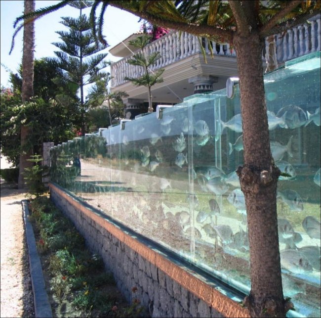 Забор - аквариум из Турции (4 фото + видео)