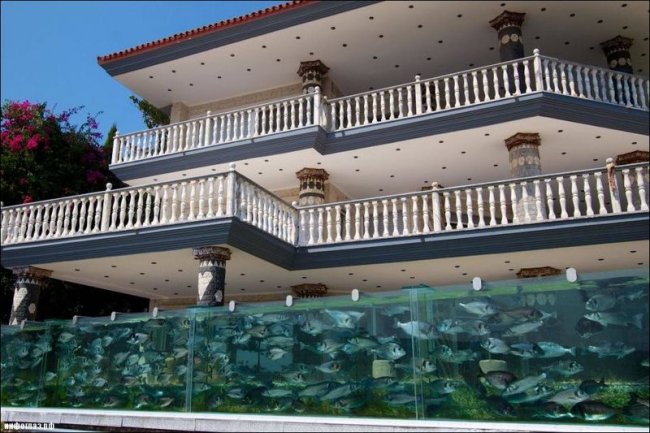 Забор - аквариум из Турции (4 фото + видео)
