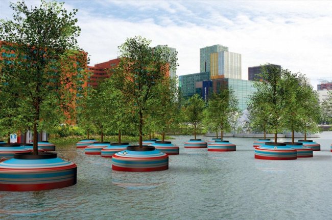 В Роттердаме будет высажен плавающий лес (6 фото)