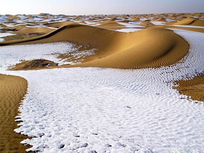 Непредсказуемые пустыни (14 фото)