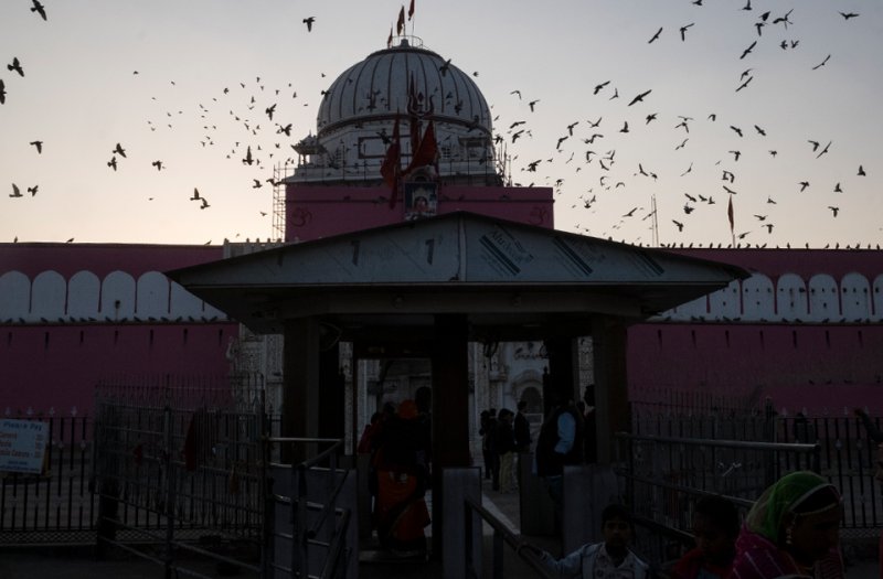 Индийский храм, где поклоняются грызунам (32 фото) - часть 2