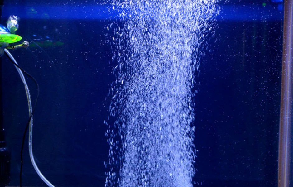 Обогащение воды аквариума кислородом