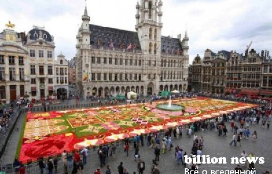 Ковер из цветов в Бельгии (9 фото)