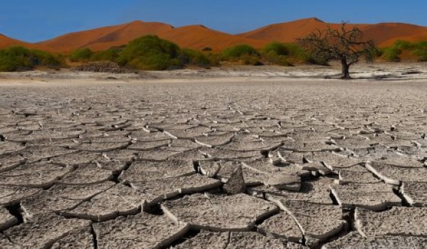 Интересные факты о пустыне Намиб