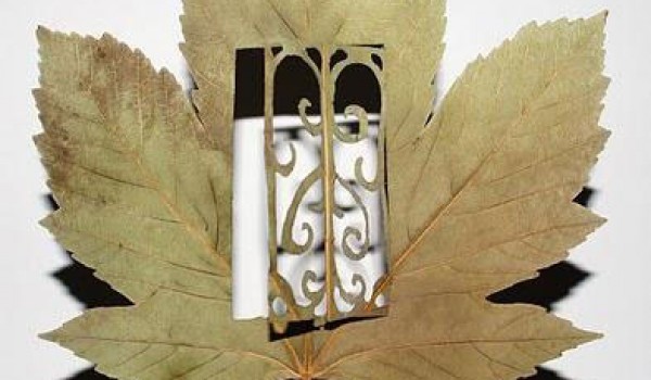 Резьба по листьям. Leaf Art от испанского художника Лоренцо Дюрана (Lorenzo Duran) (21 фото)