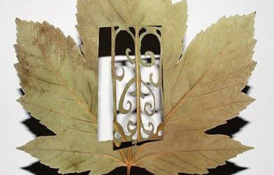 Резьба по листьям. Leaf Art от испанского художника Лоренцо Дюрана (Lorenzo Duran) (21 фото)