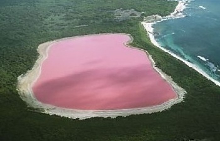Розовое озеро на острове Миддл (10 фото)