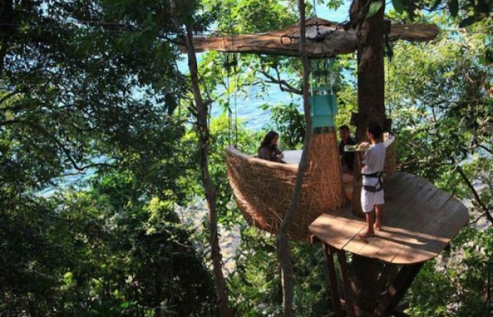 Ресторан на вершине дерева (8 фото)
