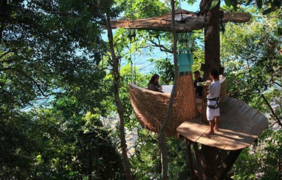 Ресторан на вершине дерева (8 фото)