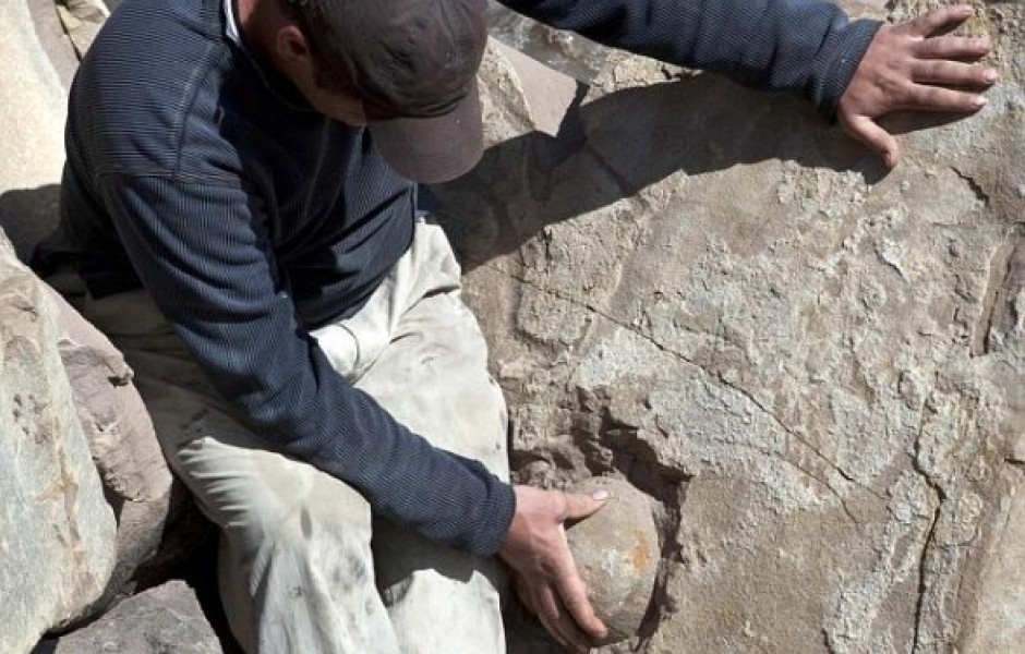Геологи Чечни обнаружили древние яйца динозавров (2 фото)