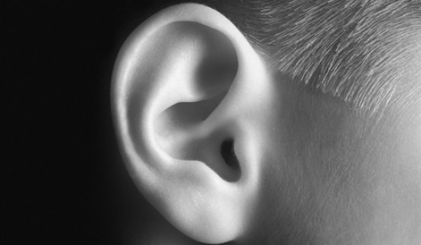 Ваше правое ухо лучше слышит речь, а левое — музыку