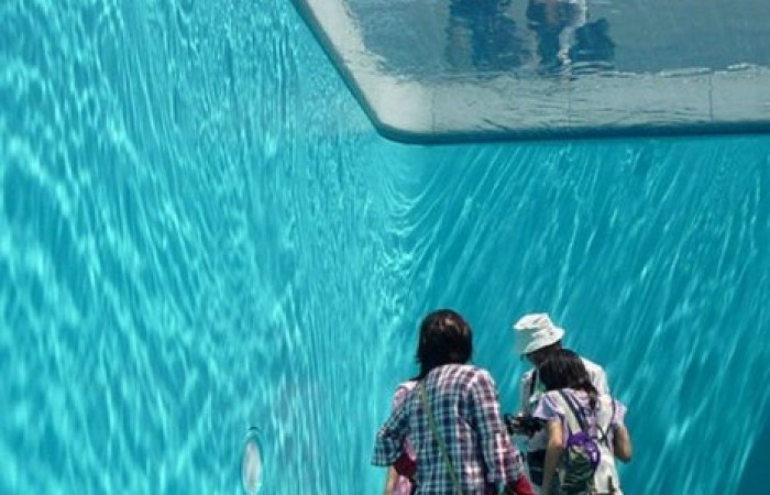 Swimming Pool - натуральный бассейн без воды (3 фото + видео)