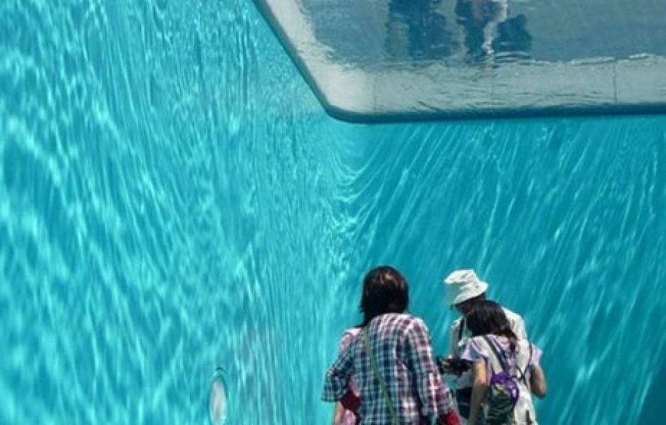 Swimming Pool - натуральный бассейн без воды (3 фото + видео)