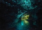 Пещеры Светлячков в Новой Зеландии (5 фото)