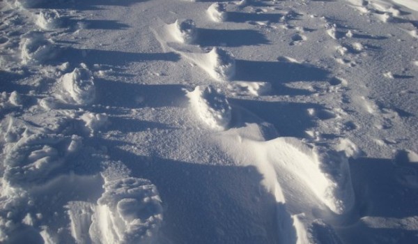 Снежные следы навыворот (15 фото)