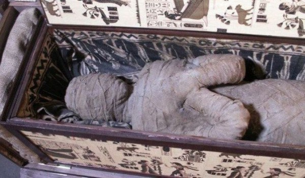 Немецкий мальчик нашел древнюю египетскую мумию на чердаке своей бабушки