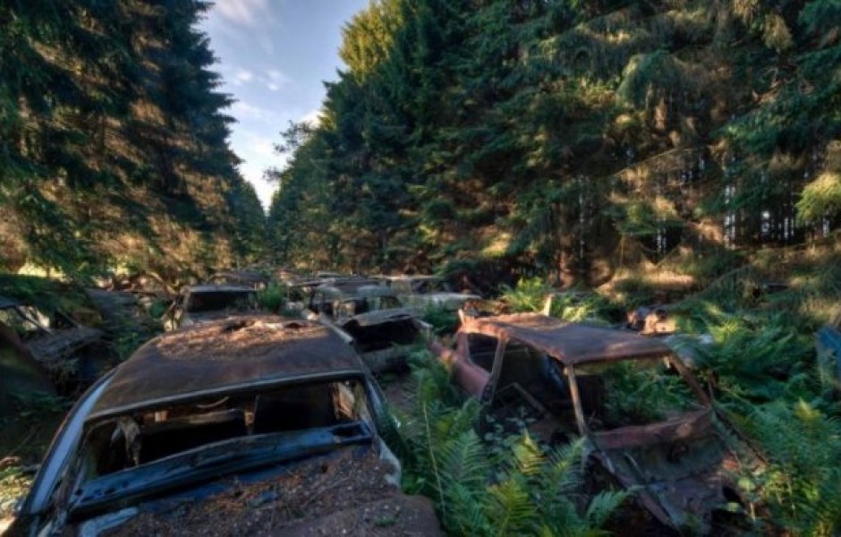 Бельгийское кладбище раритетных автомобилей (27 фото)