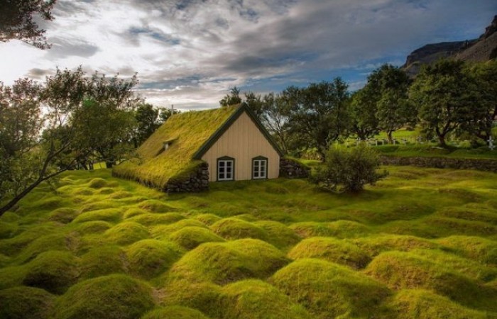 Уникальная дерновая церковь в Исландии (7 фото)