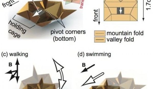 Миниатюрные роботы оригами (2 фото + видео)