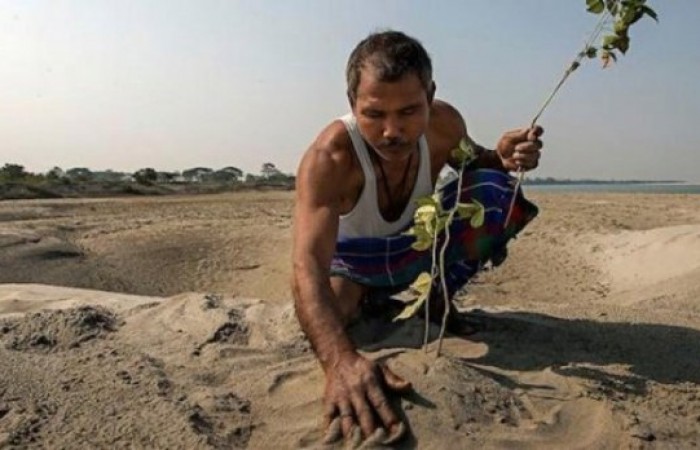 Житель Индии высадил лес, который позже превратился в заповедник (7 фото)
