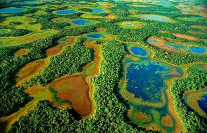 Самое крупное болото на планете (4 фото)