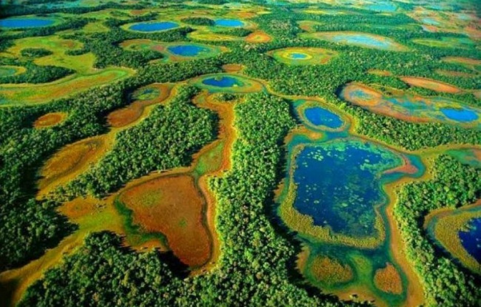 Самое крупное болото на планете (4 фото)