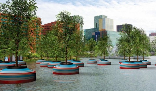 В Роттердаме будет высажен плавающий лес (6 фото)