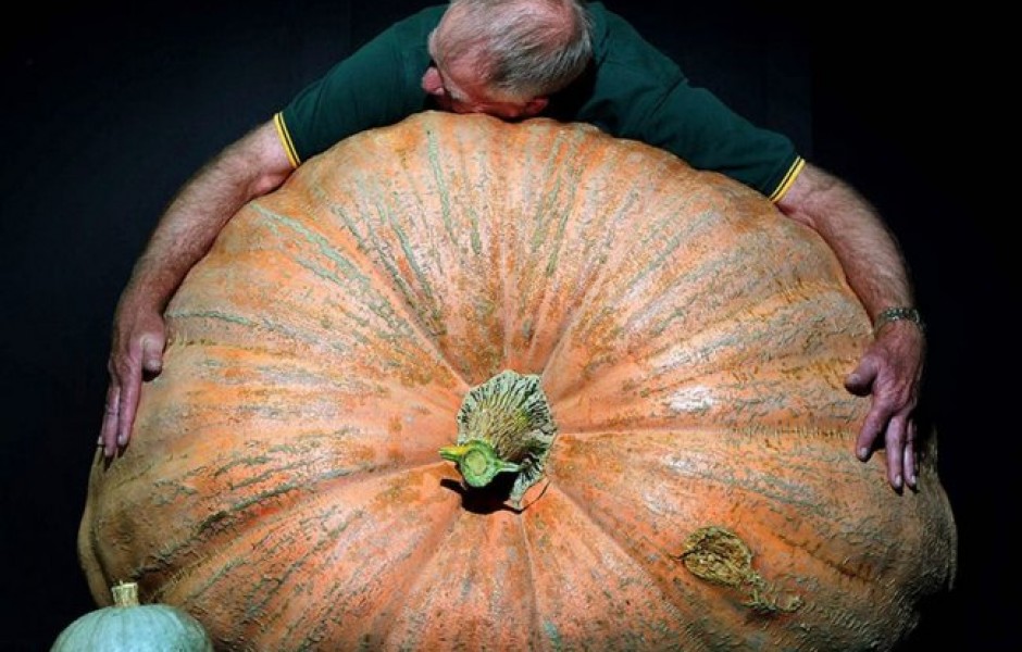 Овощи гиганты-рекордсмены (19 фото)