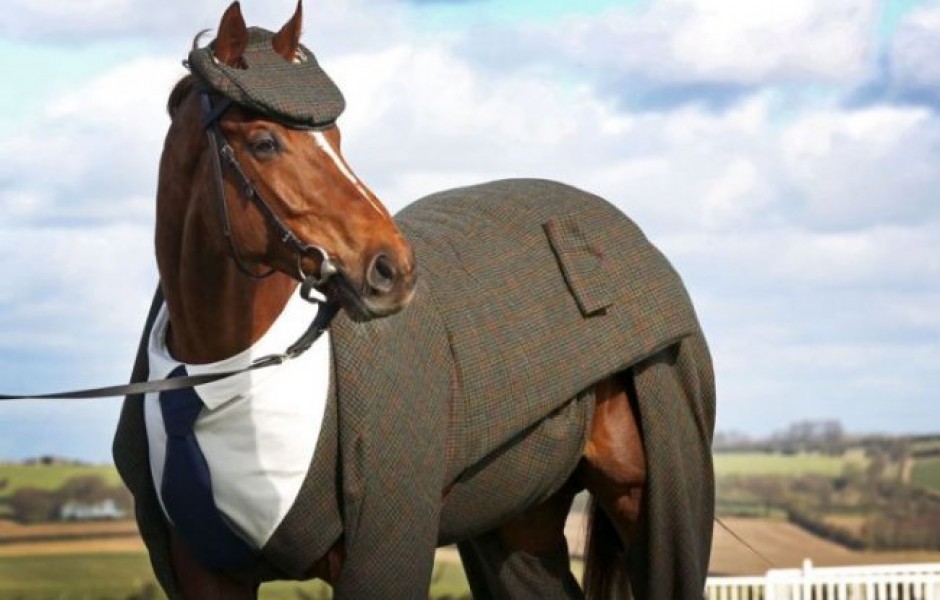 Первый в мире костюм для лошади (4 фото)