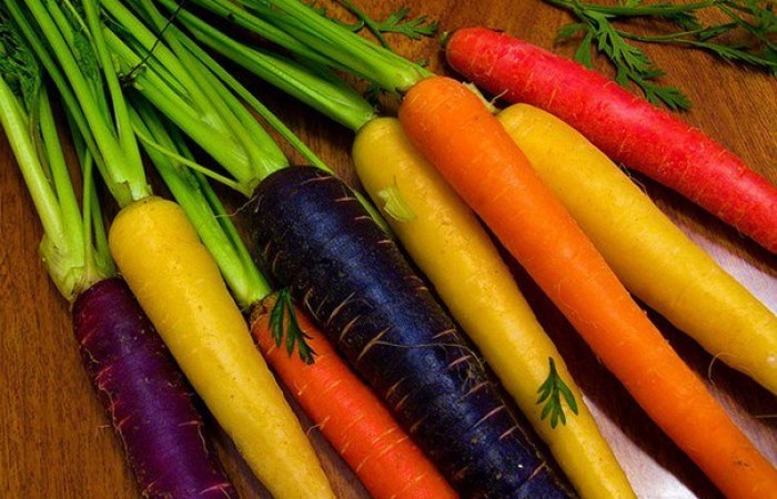 Разнообразие морковки (5 фото)