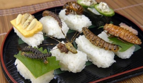 Интересные факты о роллах и суши