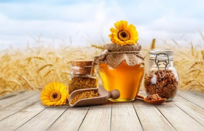 Интересные факты, связанные с медом, его добычей и продажей (4 фото)