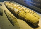 В Египте археологи обнаружили мумию огромнейшего крокодила