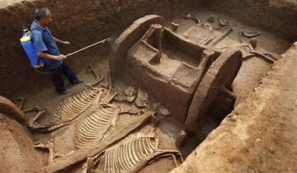 Уникальные археологические открытия