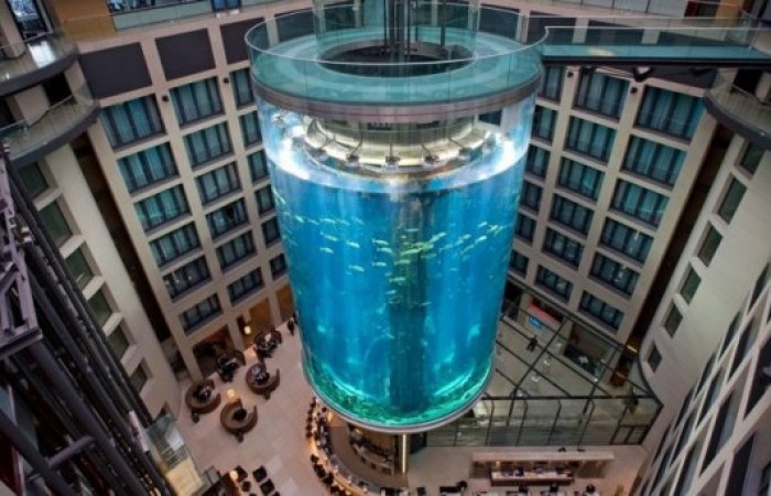 Самые невероятные аквариумы в мире