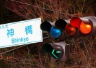 Зачем японским светофорам синий сигнал?