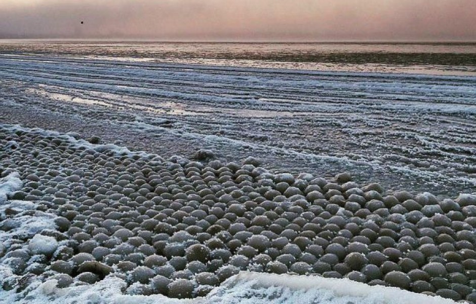 Финский залив покрылся ледяными шарами (5 фото)
