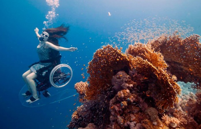 Погружение в мировой океан в инвалидной коляске ( видео дня)
