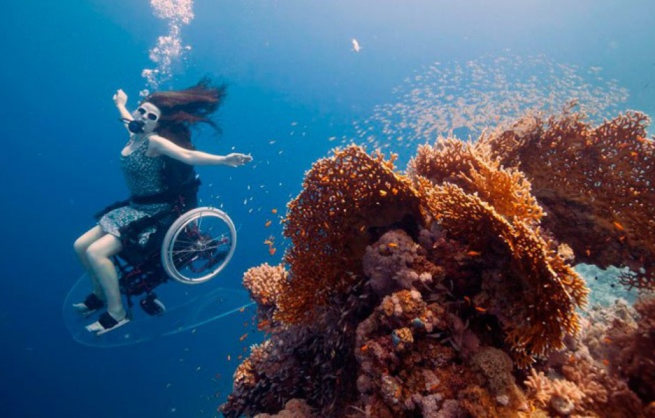 Погружение в мировой океан в инвалидной коляске ( видео дня)