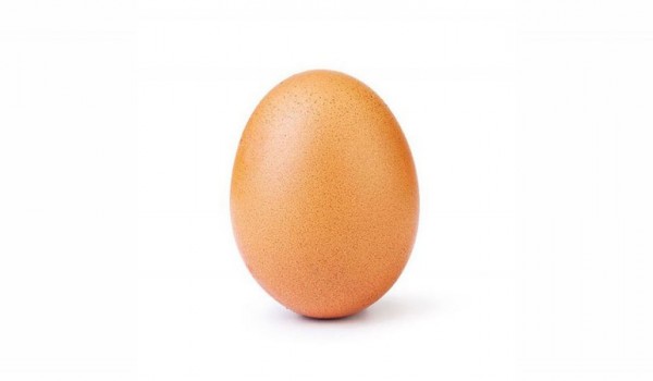Фото куриного  яйца набрала 26 000 000 лайков и это абсолютный рекорд (фото дня)